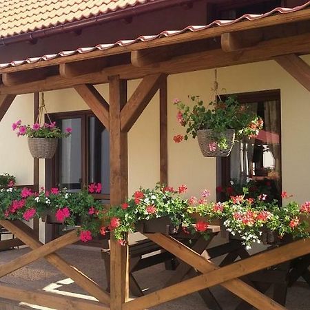 Domek Piotr 2 Stegna  Εξωτερικό φωτογραφία